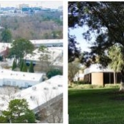 A split photo of two different buildings and trees.